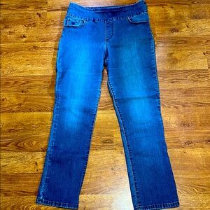 Gloria Vanderbilt Amanda Pull On Blue Straight Leg Jeans Classic Style
